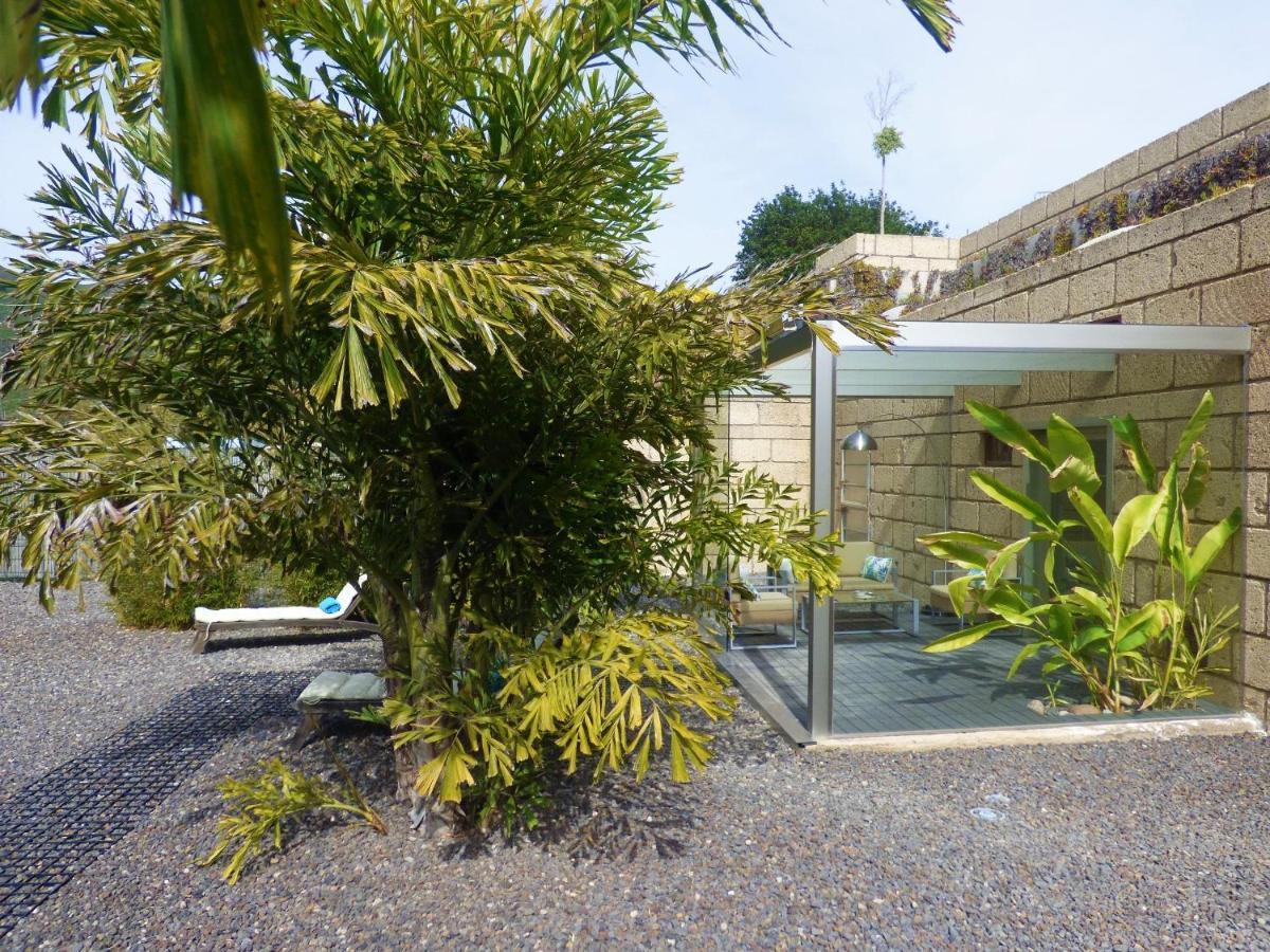 Eco Suites Caves La Laguna  Ngoại thất bức ảnh