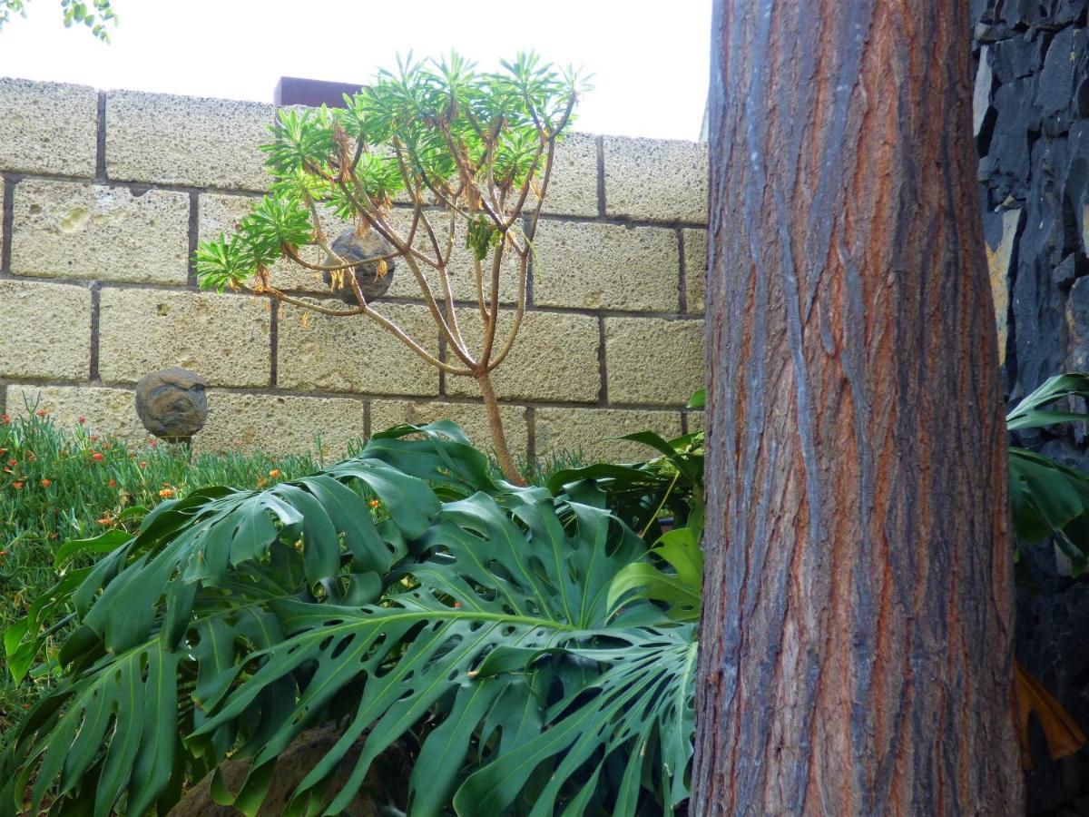 Eco Suites Caves La Laguna  Ngoại thất bức ảnh